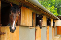 free Farleigh Green stable construction quotes